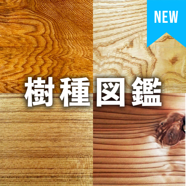 樹種図鑑