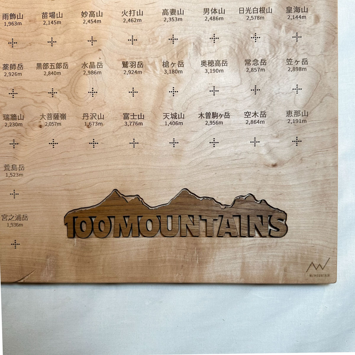 100mt-317