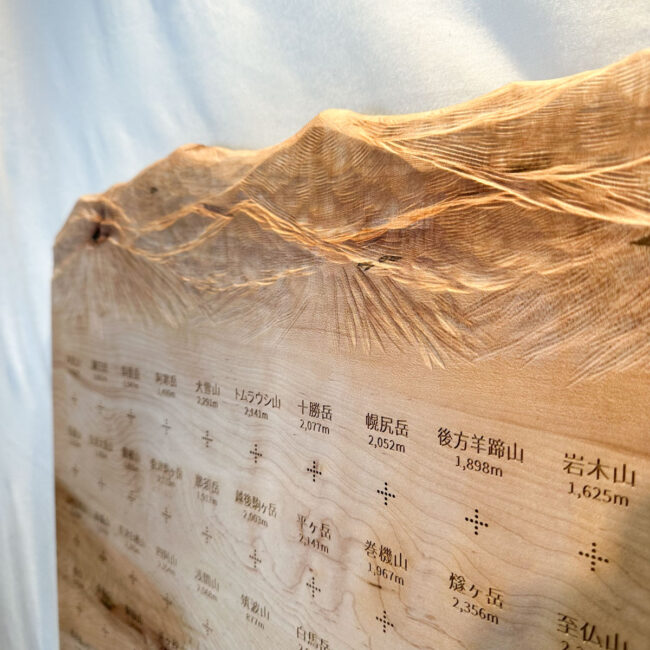 100mt-317