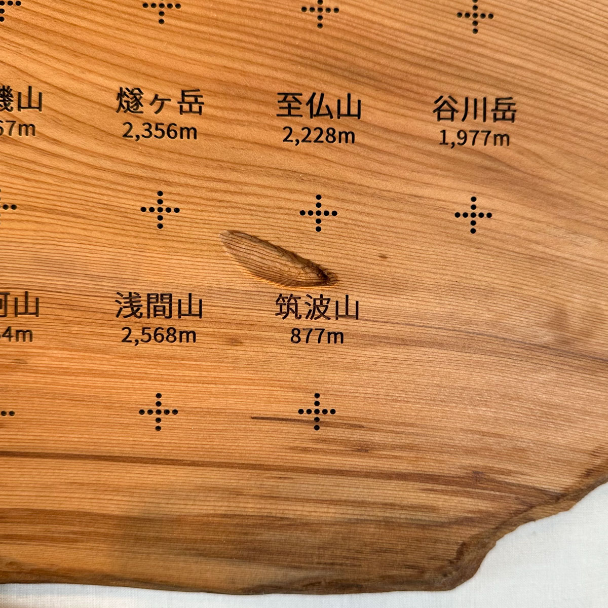 100mt-318