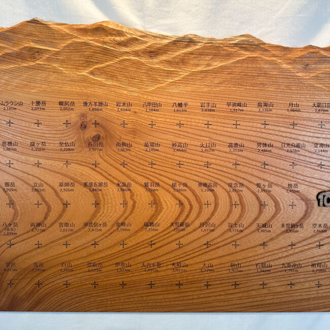 100mt-319