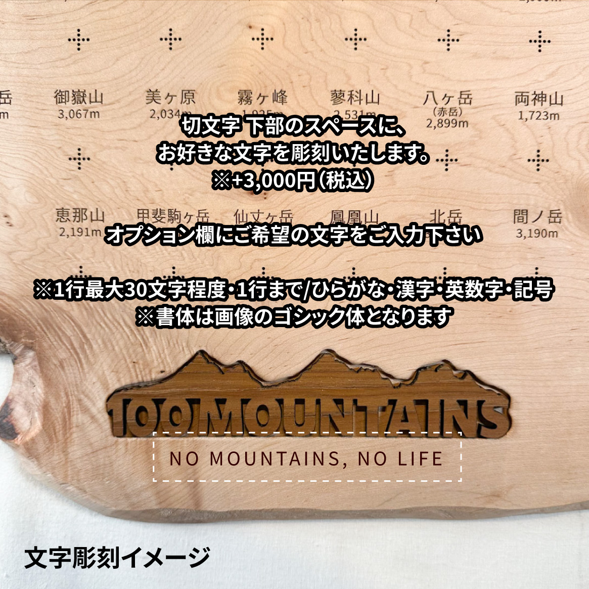 100mt-320