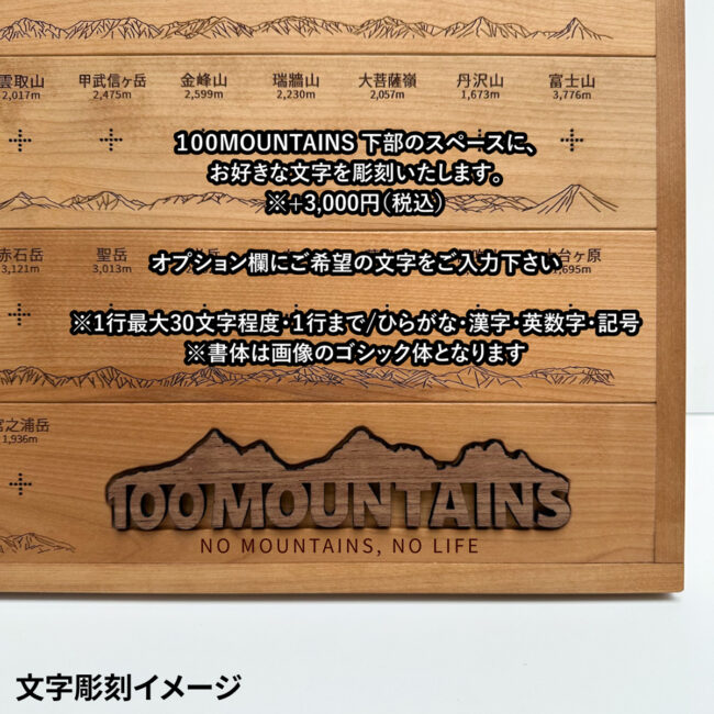 100mt-rl-1