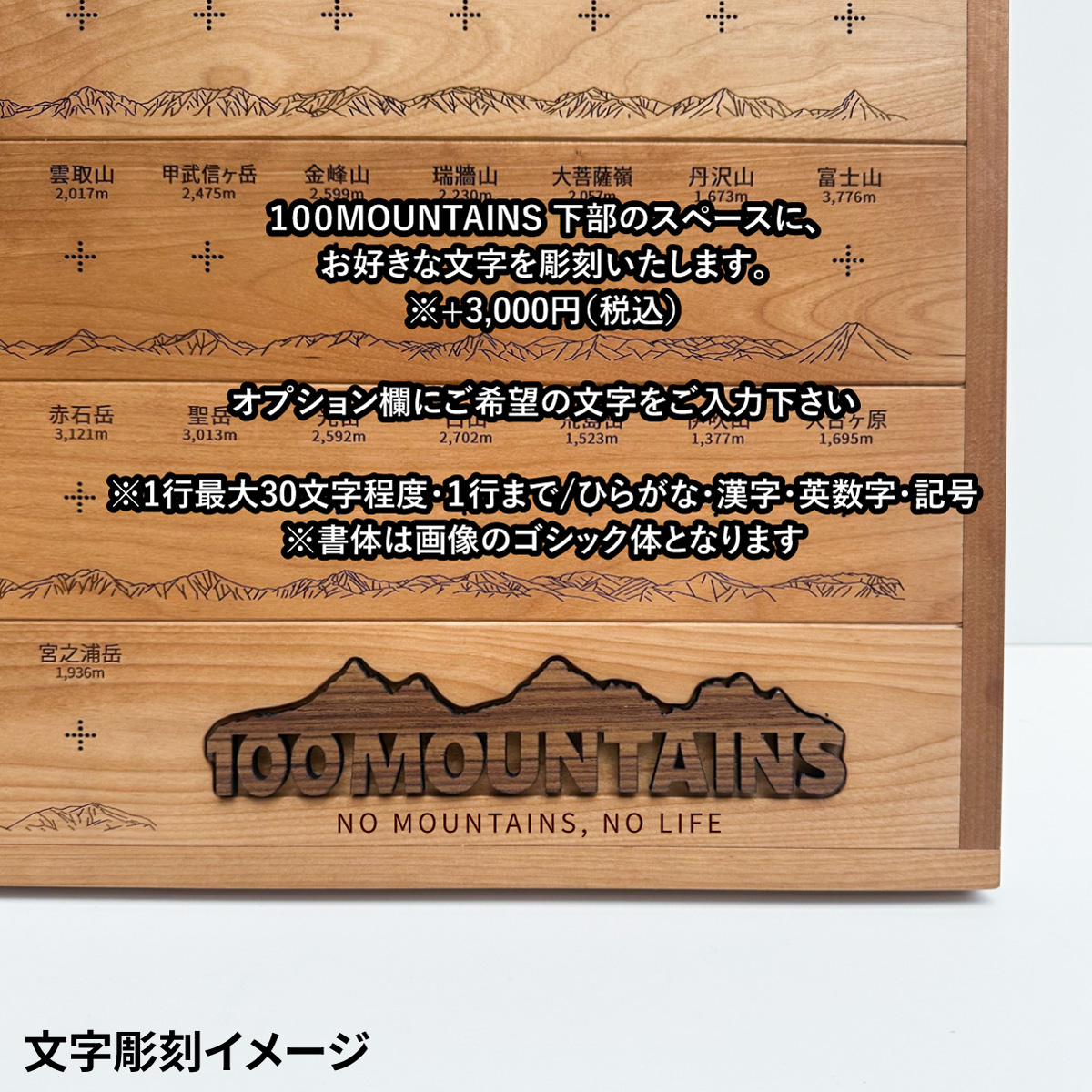 100mt-rl-2