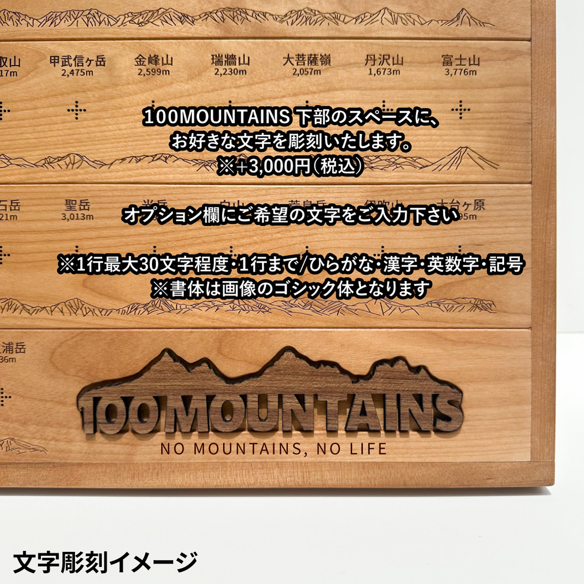 100mt-rl-3
