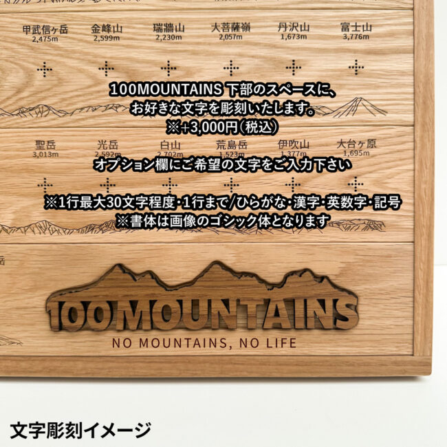 100mt-rl-5