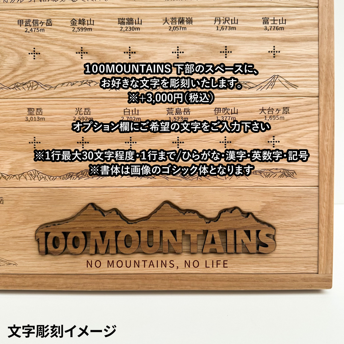 100mt-rl-5