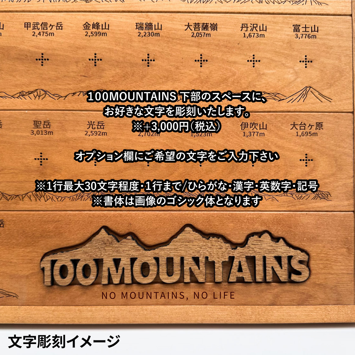 100mt-rl-7