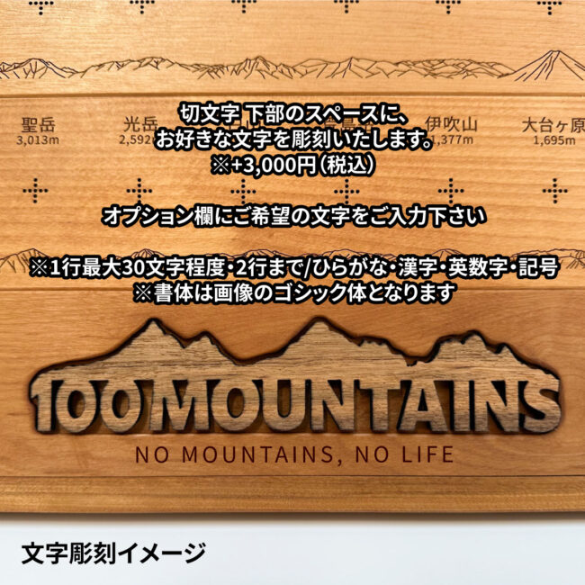100mt-rl-9