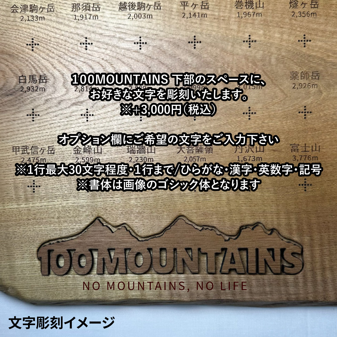 100mt-331