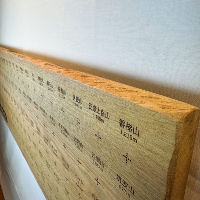 100mt-331