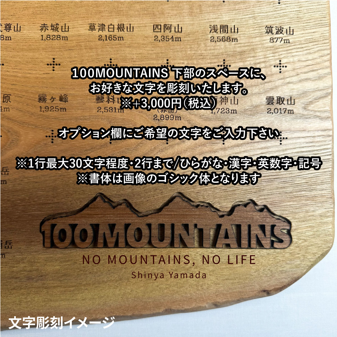 100mt-334