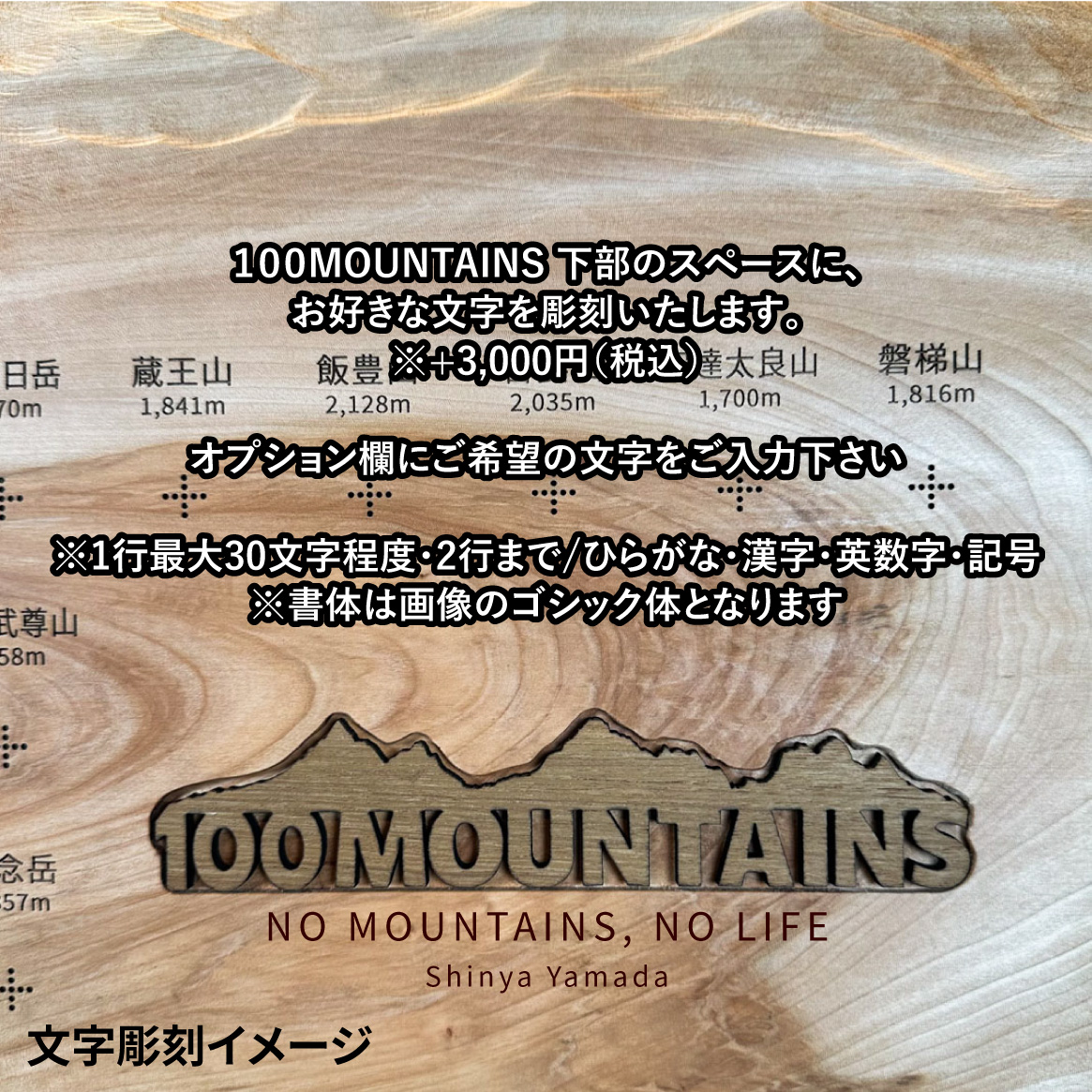 100mt-339