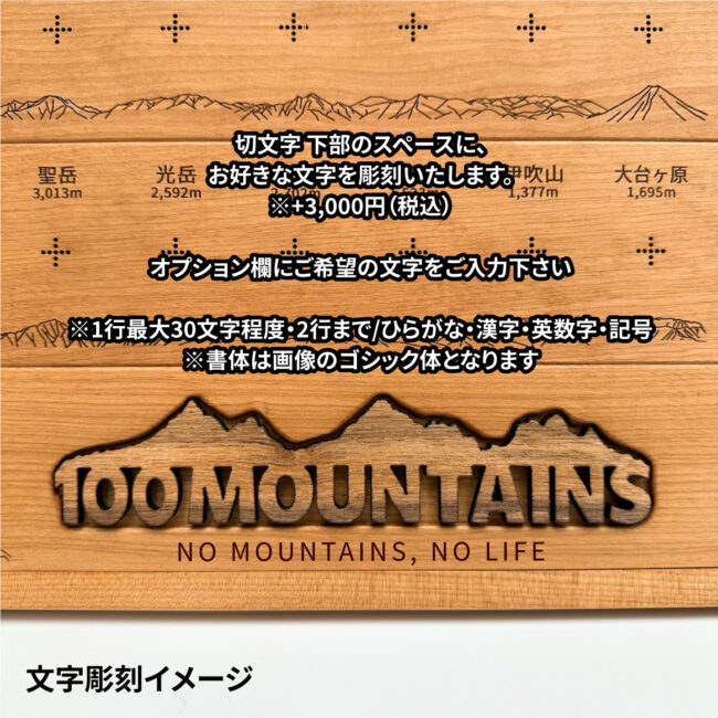 100mt-rl-13