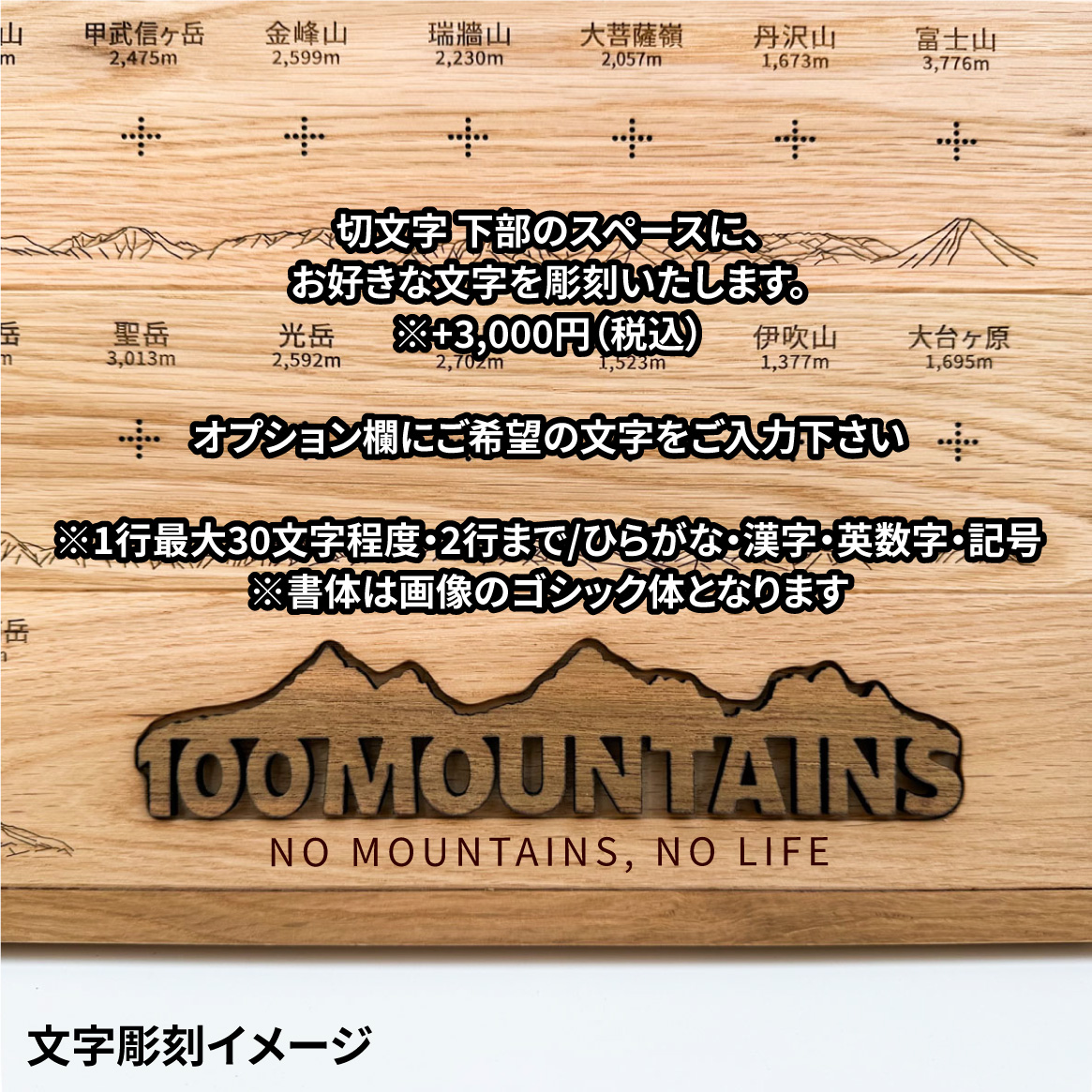 100mt-rl-19