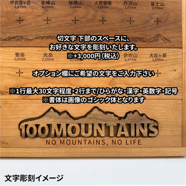 100mt-rl-15