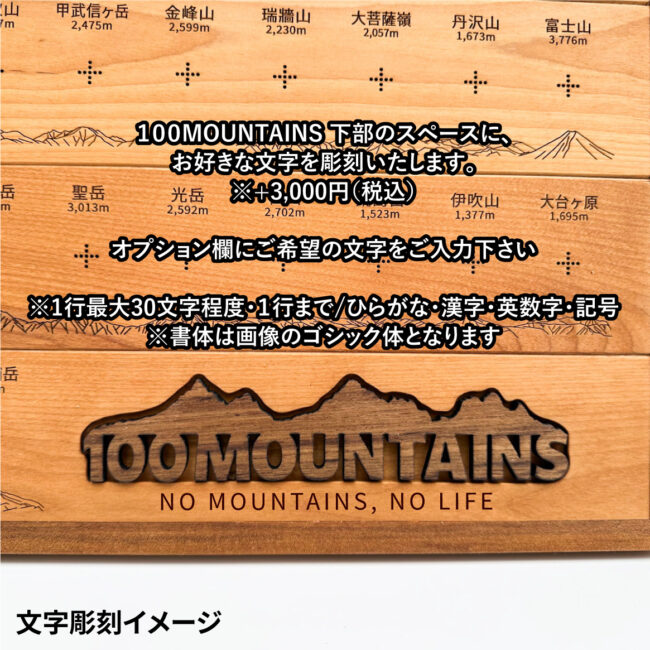 100mt-rl-17