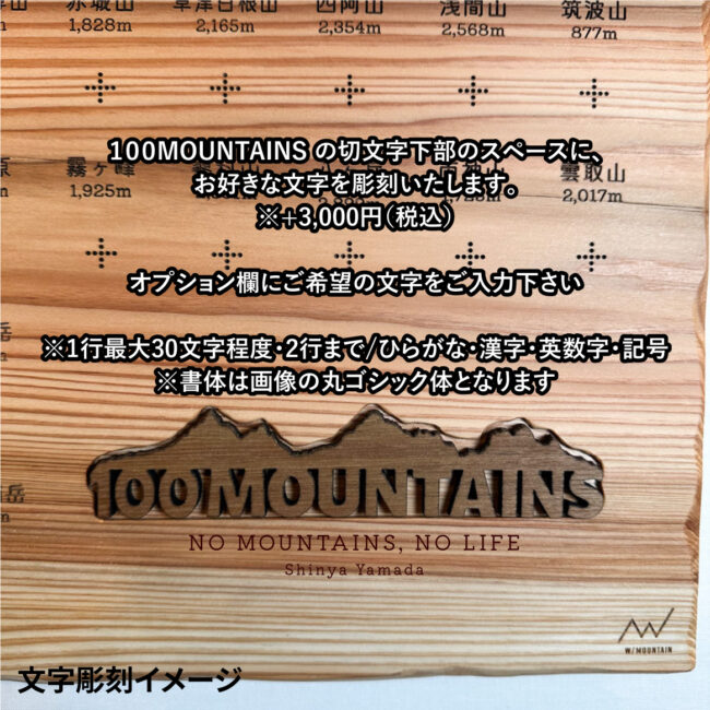 100mt-342