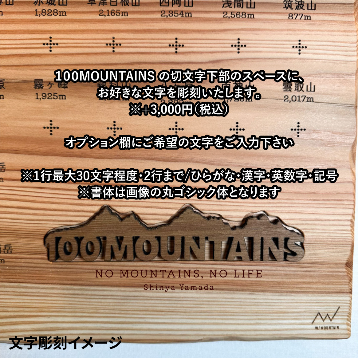 100mt-342