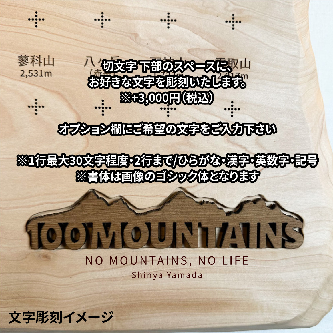 100mt-347