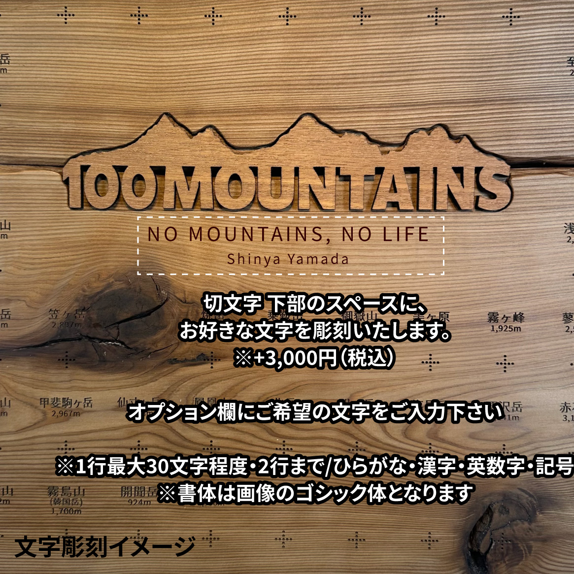 100mt-349