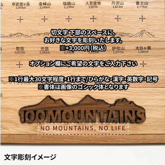 100mt-rl-20