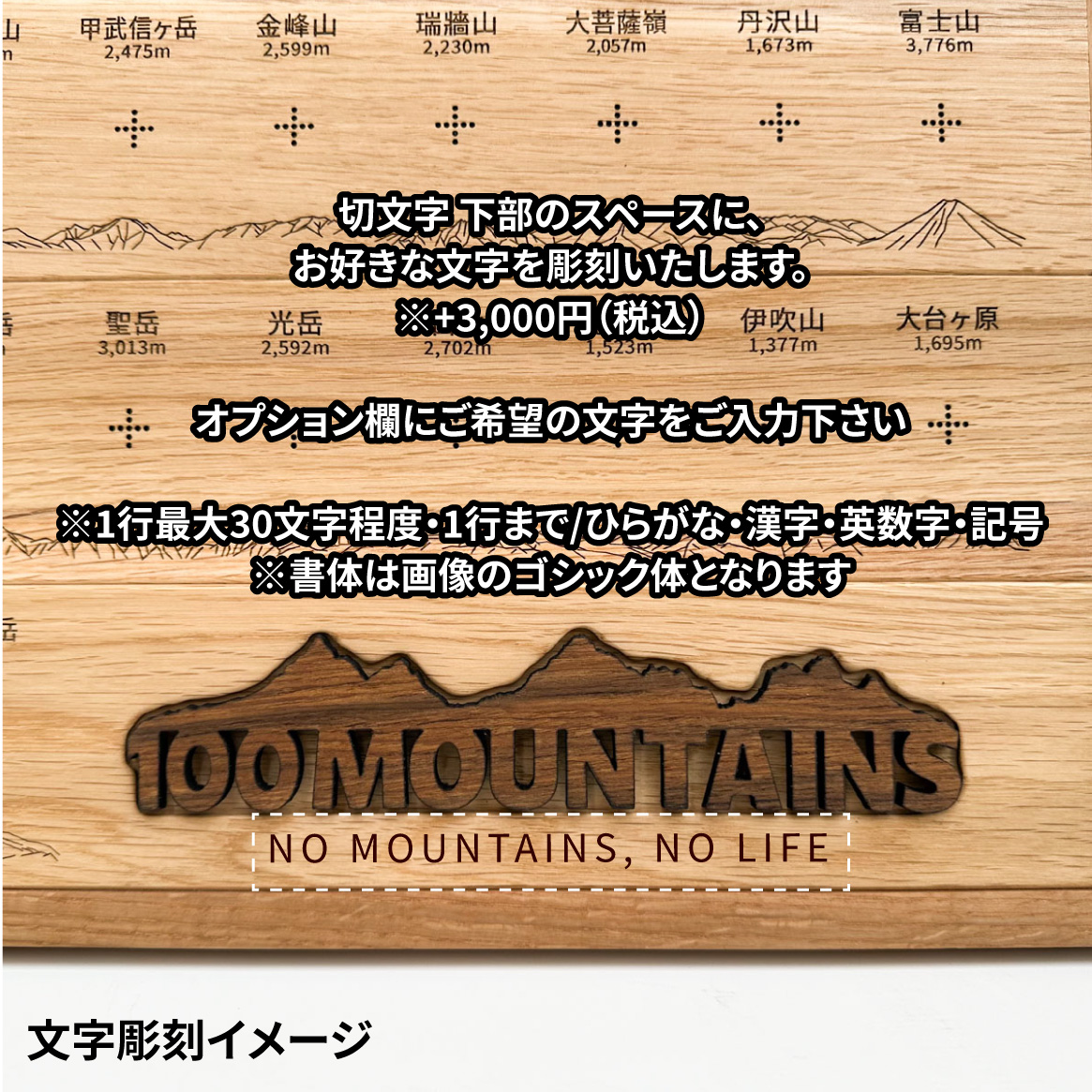 100mt-rl-20