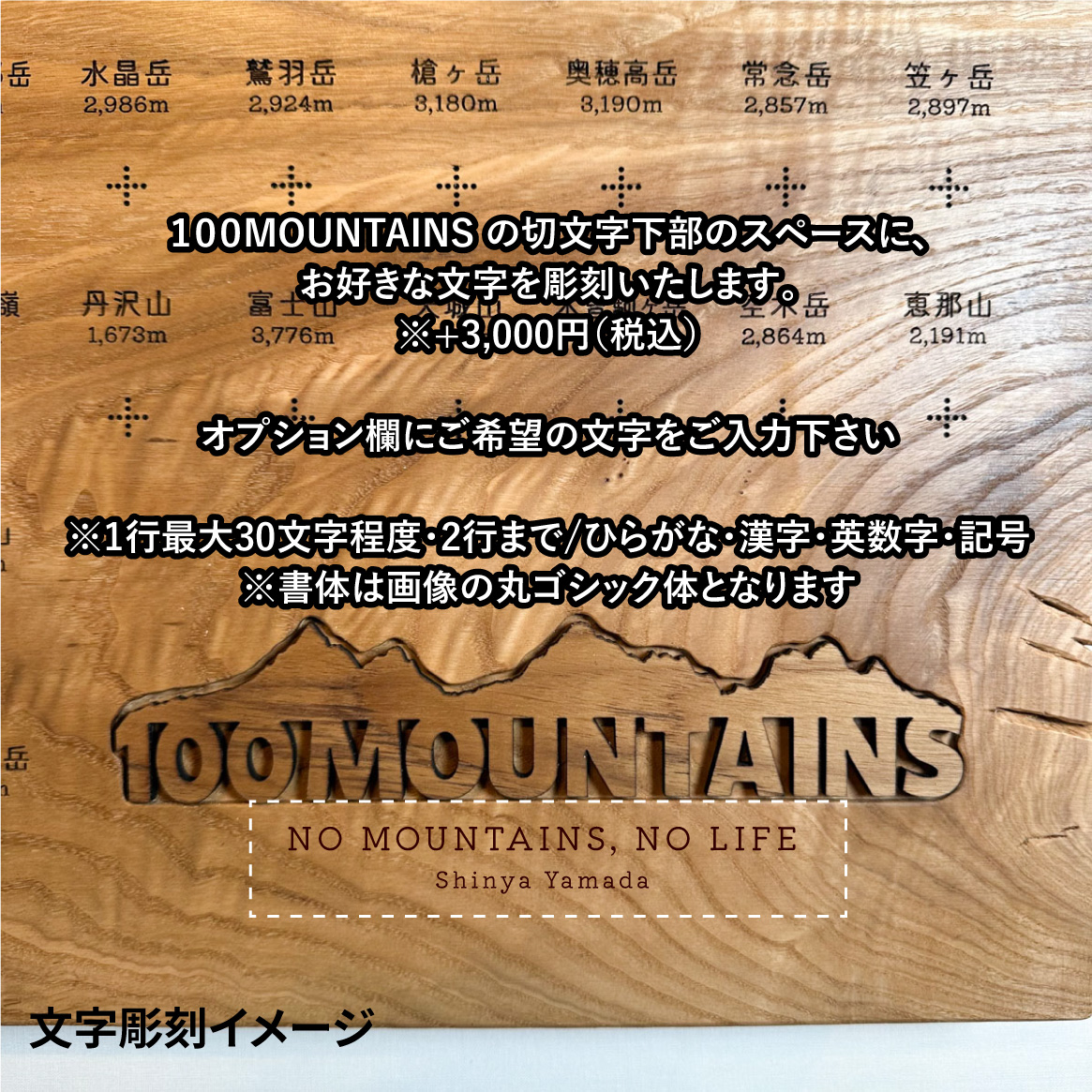 100mt-361