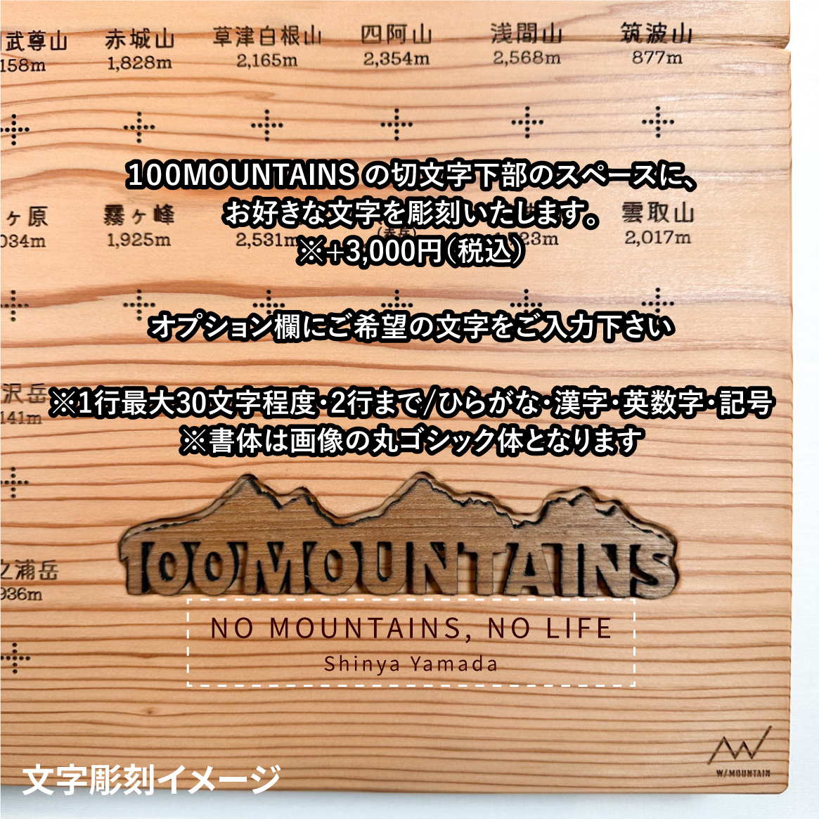 100mt-363