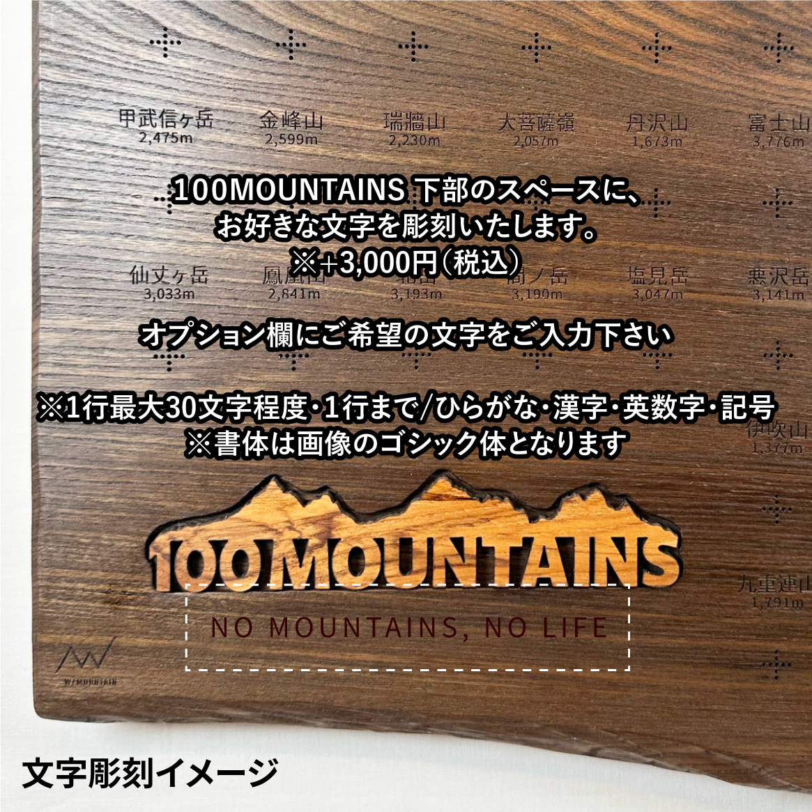100mt-365