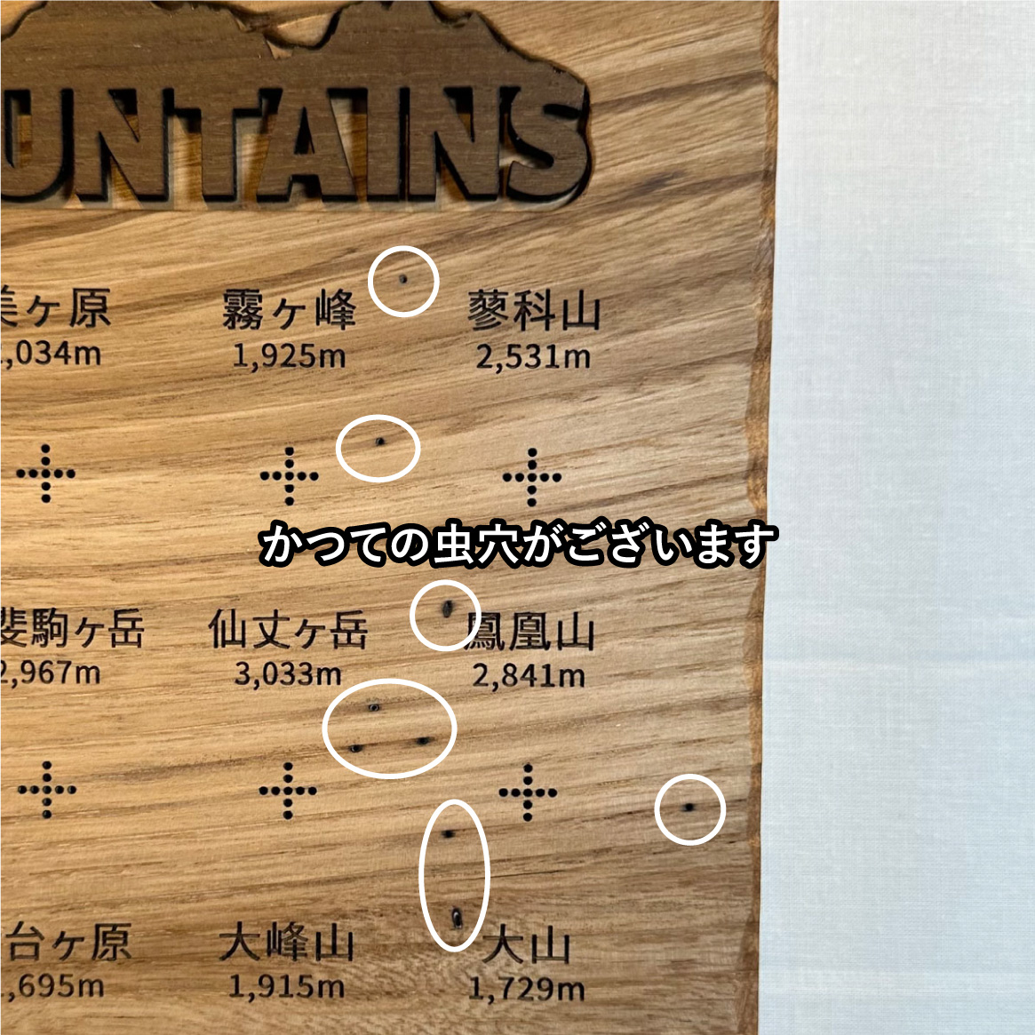 100mt-366