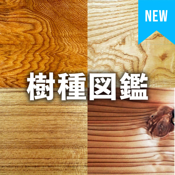 樹種図鑑