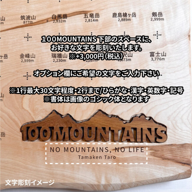100mt-446