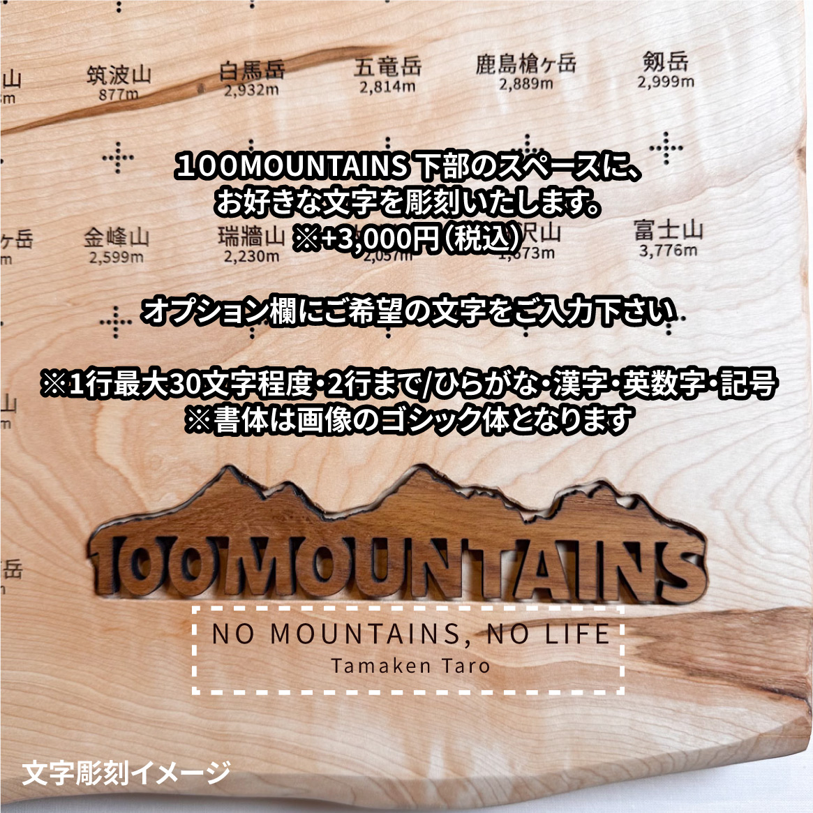 100mt-446