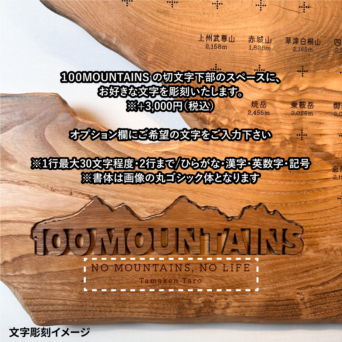 100mt-452