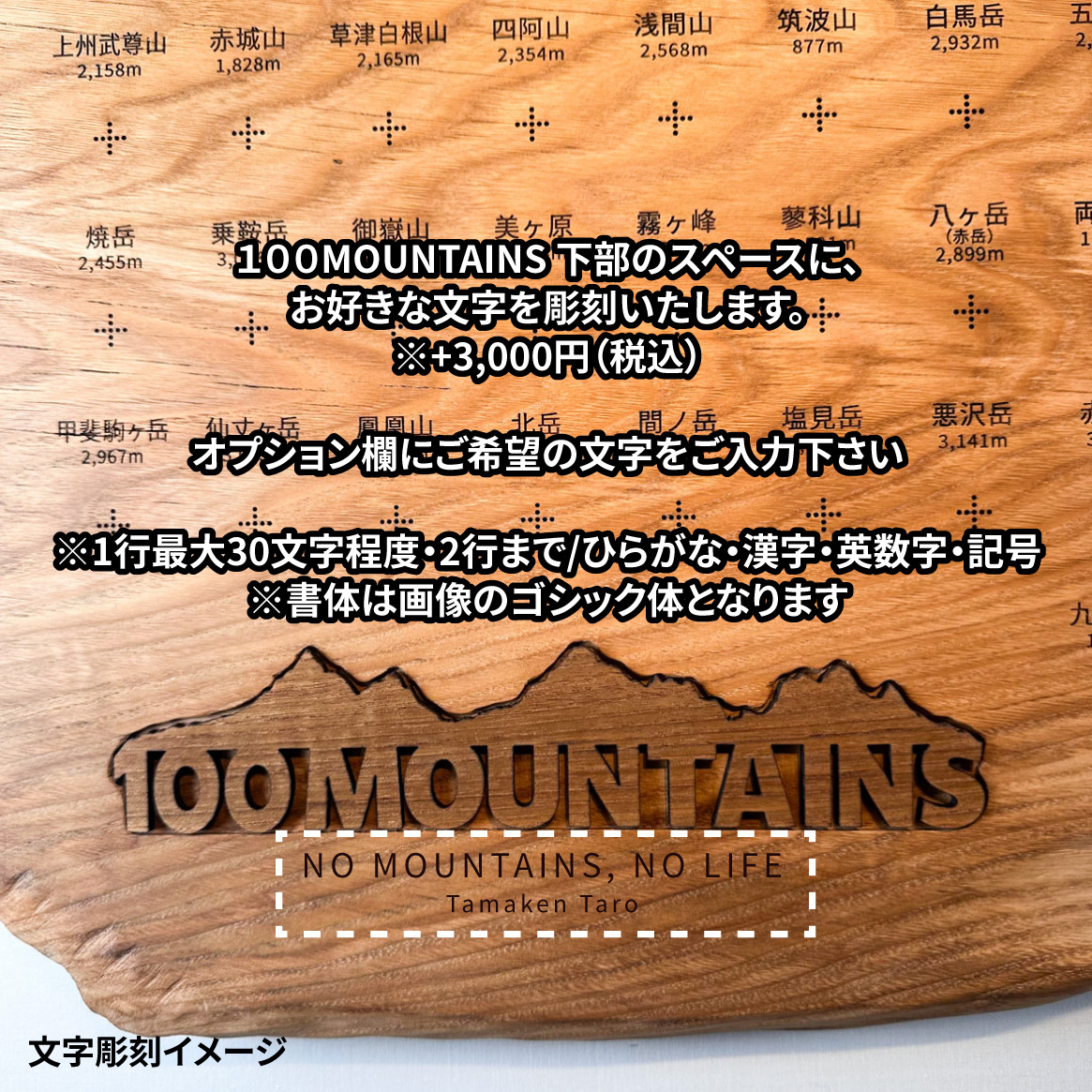 100mt-455