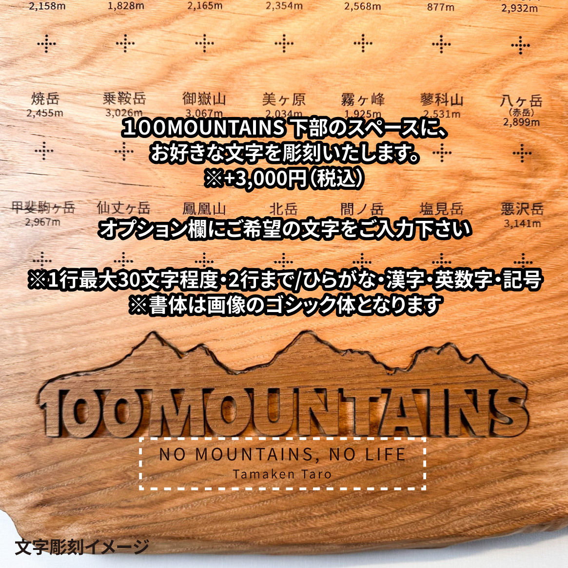 100mt-455