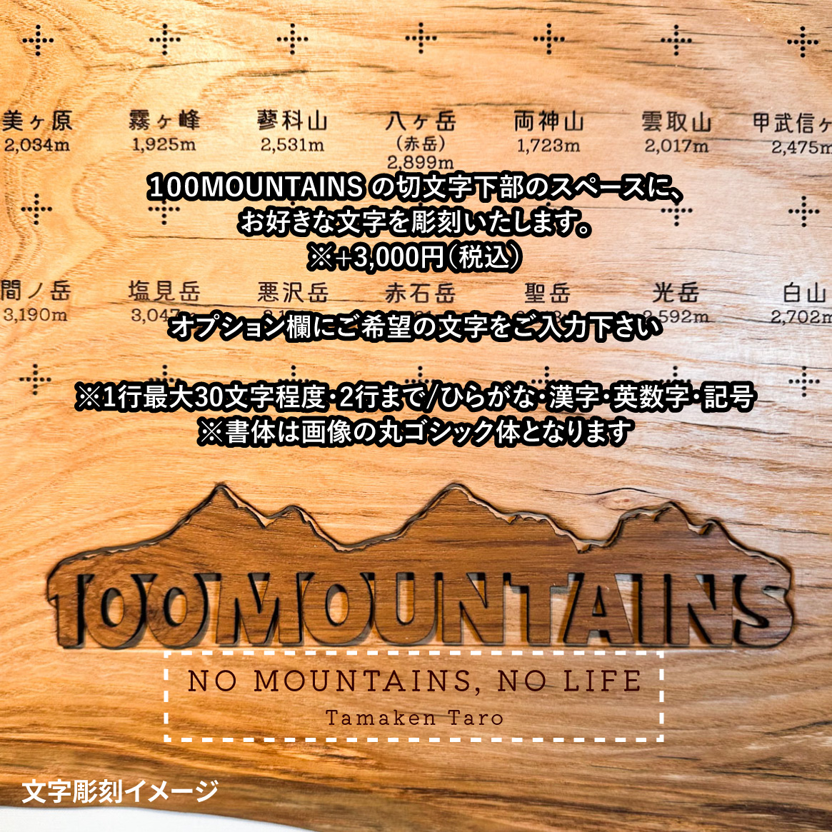 100mt-466