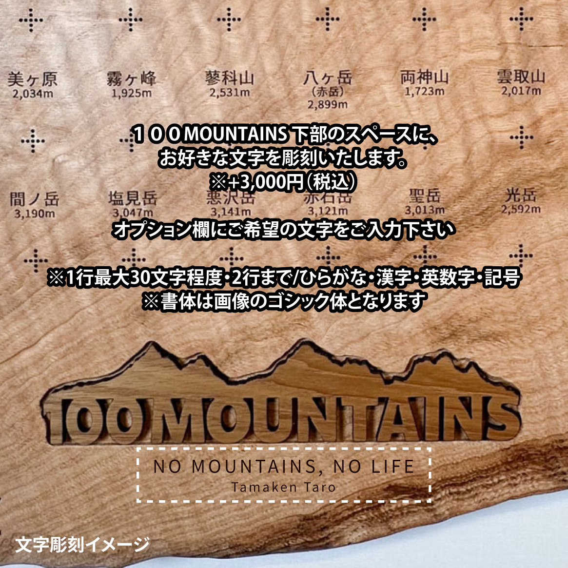 100mt-479