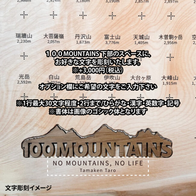 100mt-481