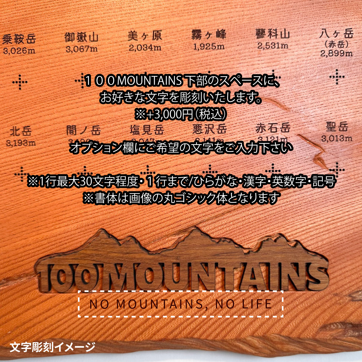 100mt-482