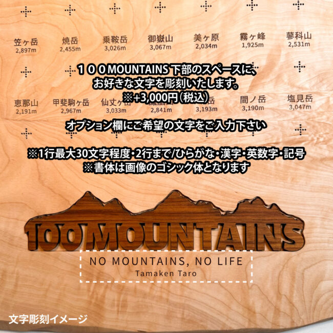 100mt-485