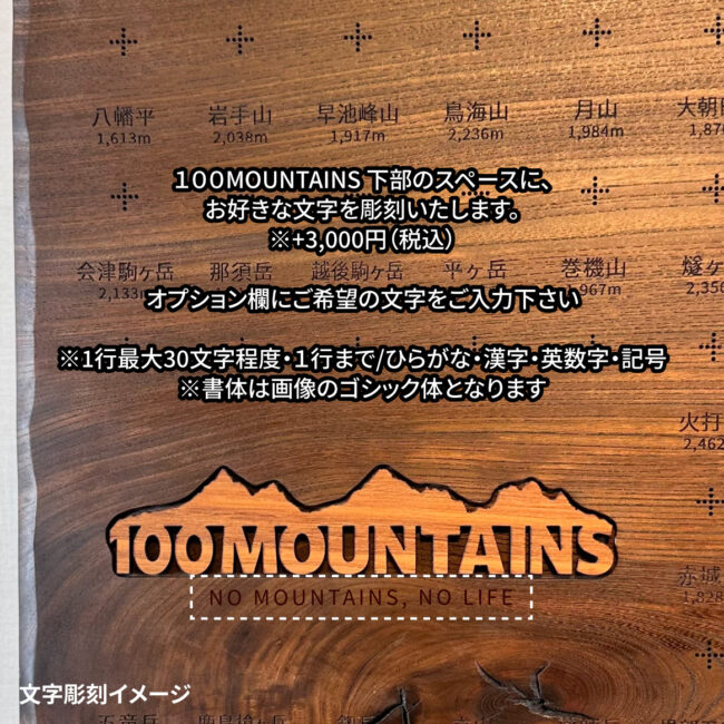 100mt-489