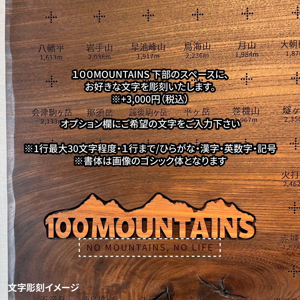100mt-489
