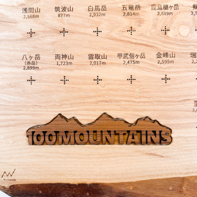 100mt-491