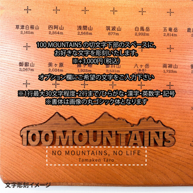 100mt-492