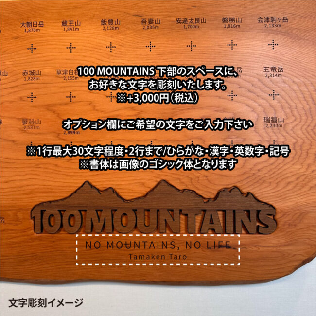 100mt-495