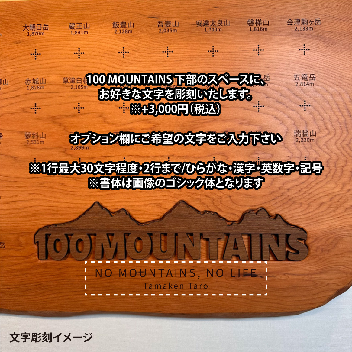 100mt-495