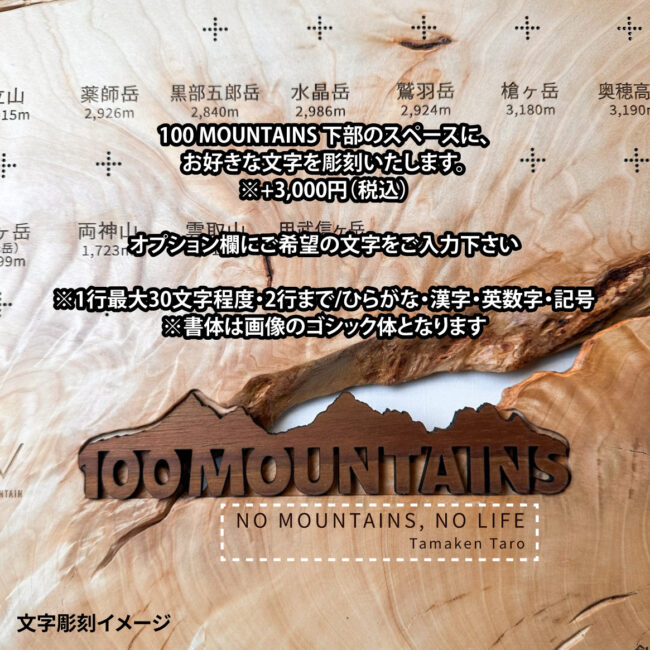 100mt-504
