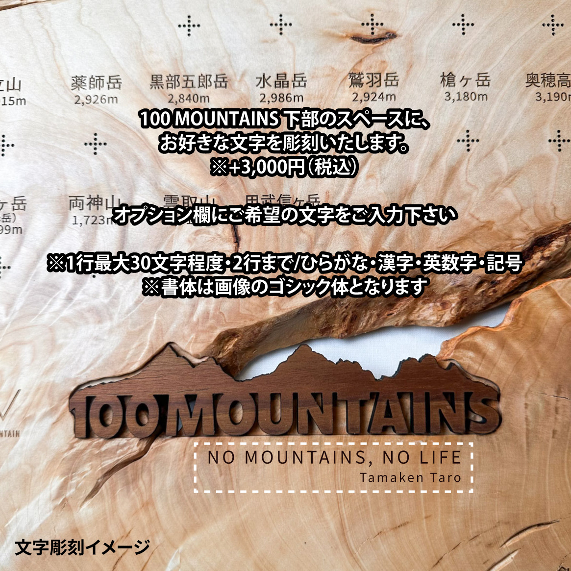 100mt-504